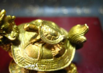 Quel est le symbole de la tortue ?