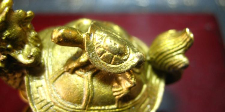 Quel est le symbole de la tortue ?