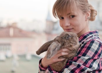 Comment savoir si le cœur de mon chat bat vite ?