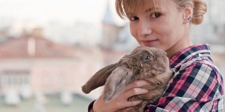 Comment savoir si le cœur de mon chat bat vite ?