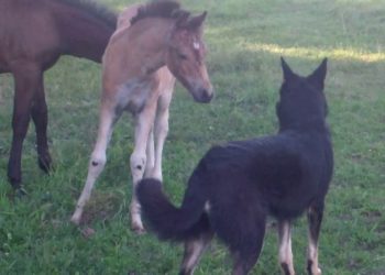 Comment se débarrasser du coryza ?
