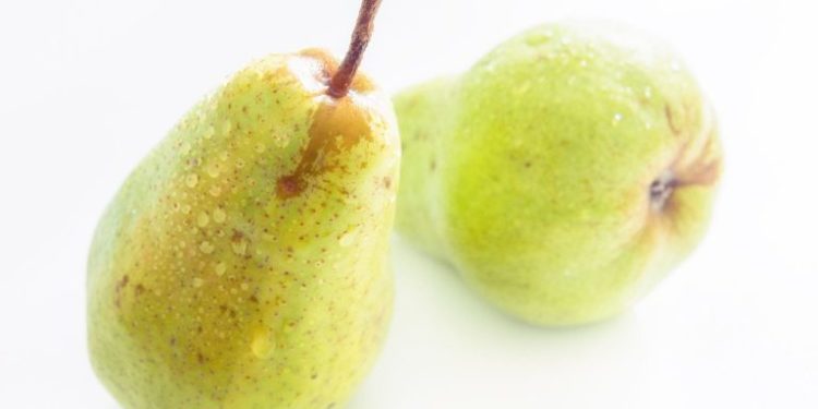 Puis-je donner de la poire à mon chien ?