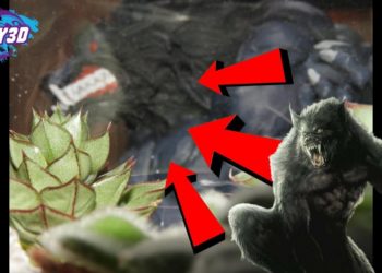 Est-ce que les loup existe ?