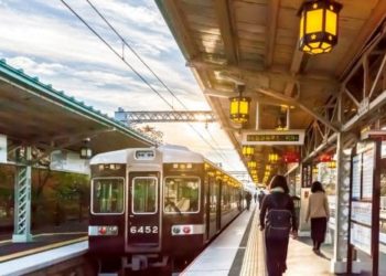 Comment se déplace les pingouins ?