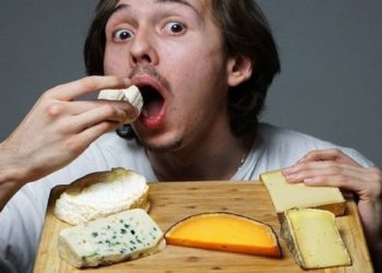 Est-ce que le renard mange du fromage ?