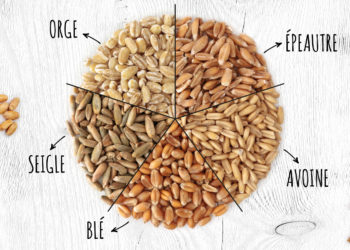 Quelle différence entre le son de blé et le son d'avoine ?