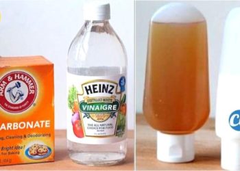 Comment se laver les cheveux au vinaigre blanc ?