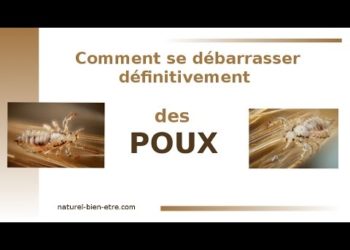 Comment faire pour se débarrasser des poux ?