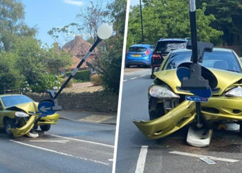 Quand on écrase une araignée ?