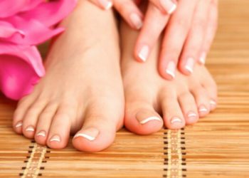 Comment Appelle-t-on les pieds des canards ?