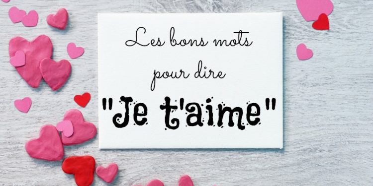 Comment dire à mon chat que je l'aime ?