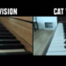 Comment nous voient les chats ?