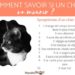 Comment se comporte un chat qui va mourir ?