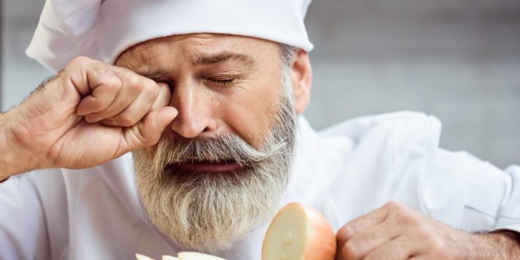 Est-ce que les chaleurs font mal au chat ?