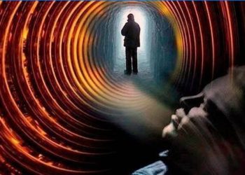 Où va l'âme des animaux ?