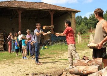 Pourquoi les colibris ne viennent plus ?