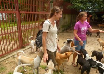 Quel animal peut mourir de chagrin d'amour ?