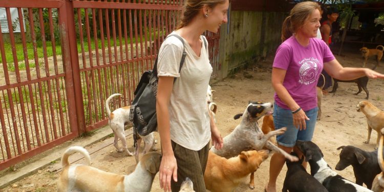 Quel animal peut mourir de chagrin d'amour ?