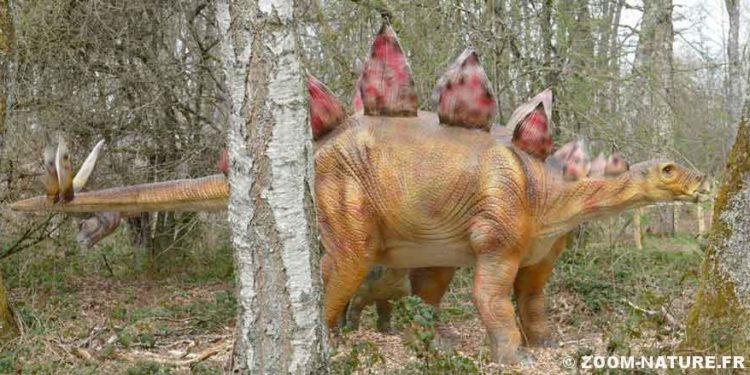 Est-ce qu'il existe encore des dinosaures ?