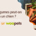 Quels fruits et légumes Peut-on donner à un chien ?