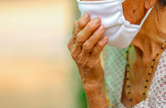 Pourquoi ne Faut-il pas toucher un crapaud ?