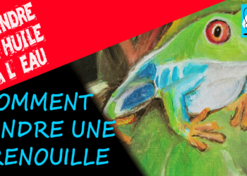 Comment garder une grenouille ?