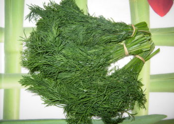 Quelle quantité de verdure lapin ?