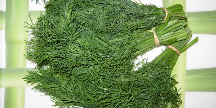 Quelle quantité de verdure lapin ?