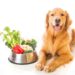 Quelle quantité de courgette pour un chien ?