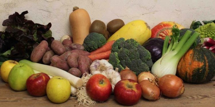 Quel quantité de légume par jour pour un lapin ?