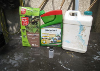 Quel produit pour tuer les lézards ?