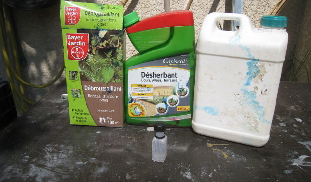 Quel produit pour tuer les lézards ?