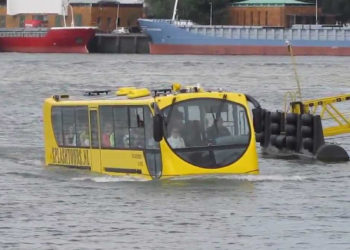 Est-ce que les martres vont dans l'eau ?