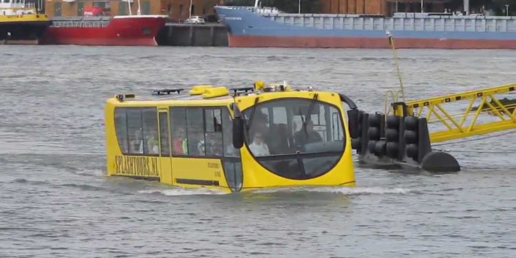 Est-ce que les martres vont dans l'eau ?