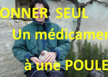 Comment donner un coq ?