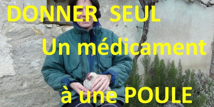 Comment donner un coq ?