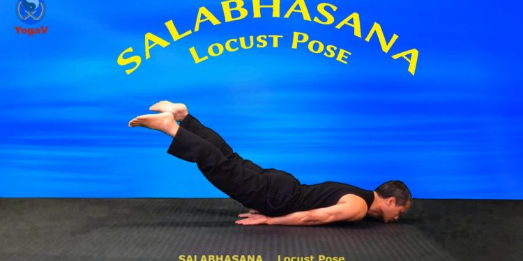 Comment faire partir des sauterelle ?