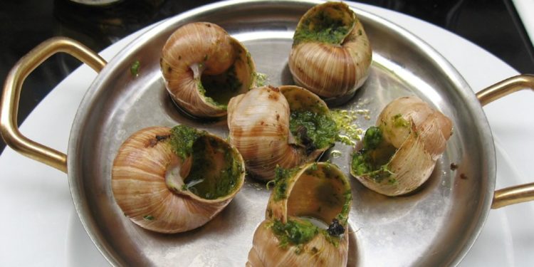 Quand manger des escargots ?