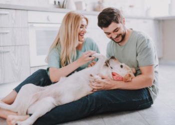 Comment mon chien sait que je l'aime ?