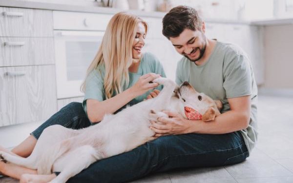 Comment mon chien sait que je l'aime ?