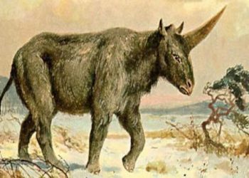 Est-ce que les dinosaures ont vraiment existé ?