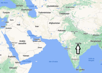 Où se trouve le dingo ?