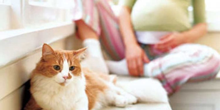 Comment éviter la toxoplasmose quand on a un chat ?