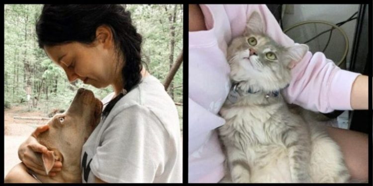 Est-ce que les chats peuvent oublier leur maitre ?