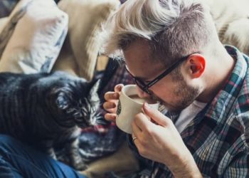 Comment le chat voit son maitre ?