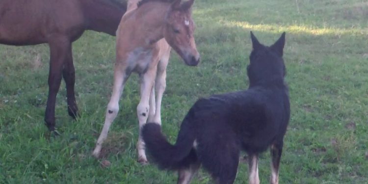 Comment se débarrasser du coryza ?