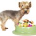 Quelle nourriture pour un chien malade du foie ?