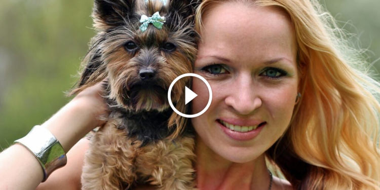 Comment les chiens perçoivent les humains ?