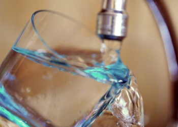 Est-ce que l'escargot boit de l'eau ?