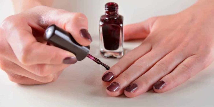 Quel serpent est fait pour moi ?